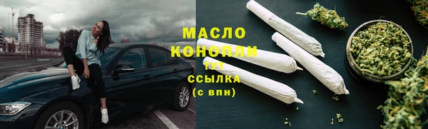 гашик Корсаков