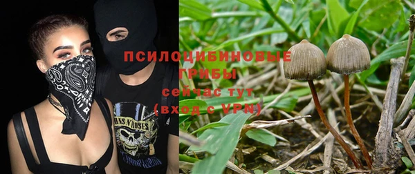 гашишное масло Костерёво