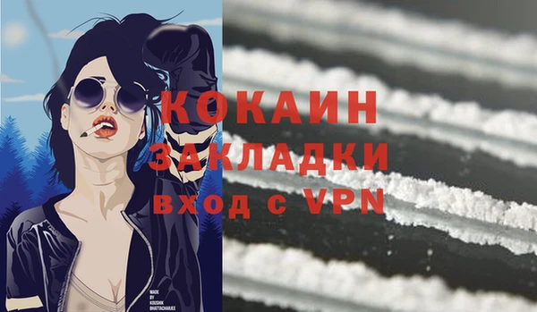 гашик Корсаков