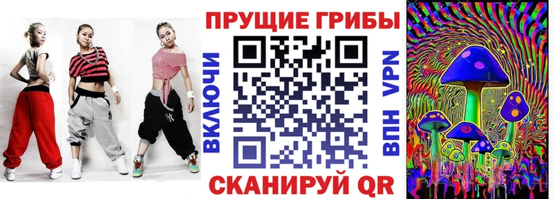 Галлюциногенные грибы GOLDEN TEACHER  Купить  Кораблино 